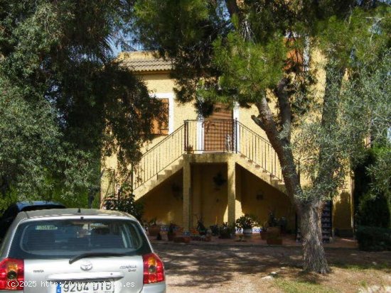 Finca en venta en Daya Nueva (Alicante)