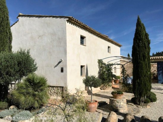  Finca en venta en Lorca (Murcia) 