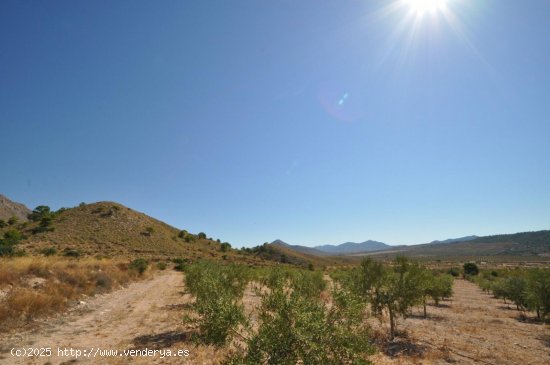 Solar en venta en Abanilla (Murcia)