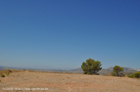 Solar en venta en Abanilla (Murcia)