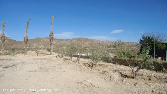 Solar en venta en Abanilla (Murcia)