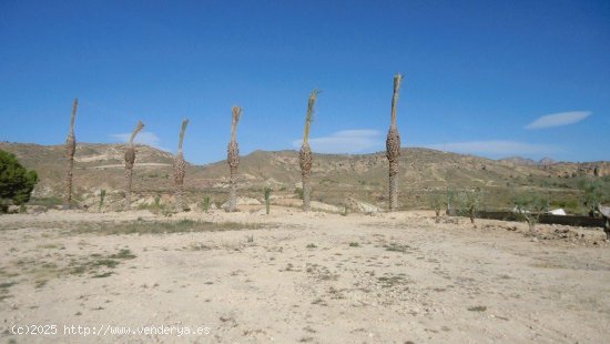 Solar en venta en Abanilla (Murcia)