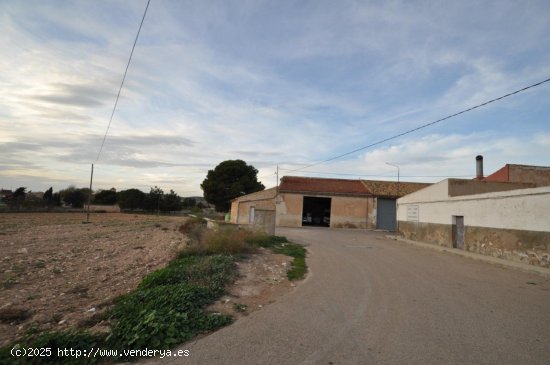 Solar en venta en Jumilla (Murcia)