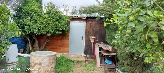 Terreno con caseta - BALEARES