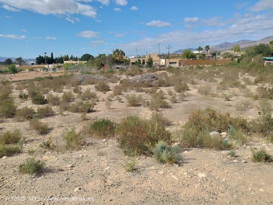 parcela partida de matola , 4000 metros de terreno,asi puede quedar - ALICANTE