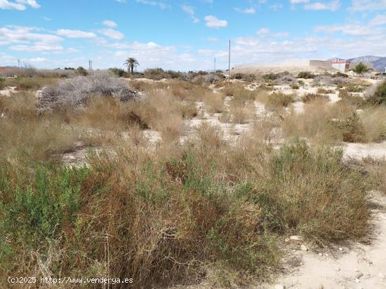 parcela partida de matola , 4000 metros de terreno,asi puede quedar - ALICANTE