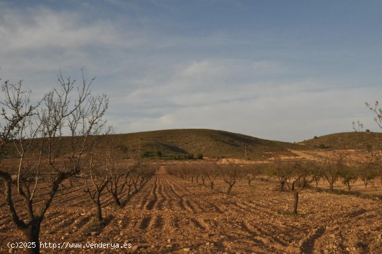  Solar en venta en Abanilla (Murcia) 