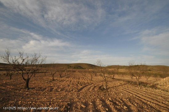 Solar en venta en Abanilla (Murcia)