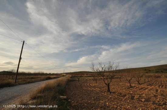 Solar en venta en Abanilla (Murcia)