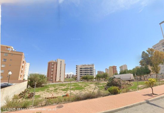  Solar en venta en Guardamar del Segura (Alicante) 