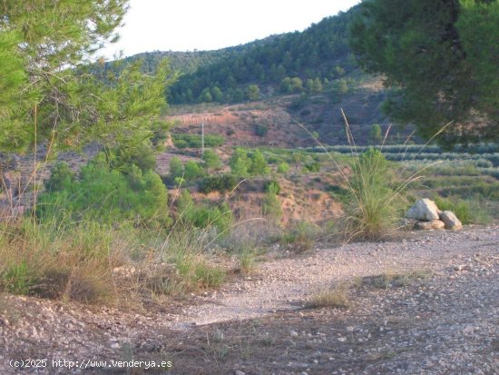 Solar en venta en Murcia (Murcia)