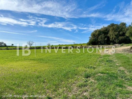 Terreno rústico en venta en Es Bessons, Manacor - BALEARES