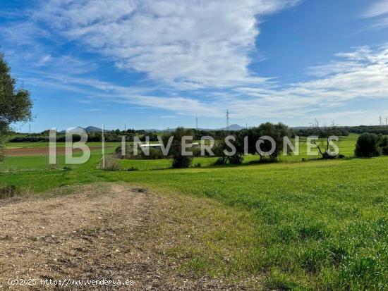 Terreno rústico en venta en Es Bessons, Manacor - BALEARES