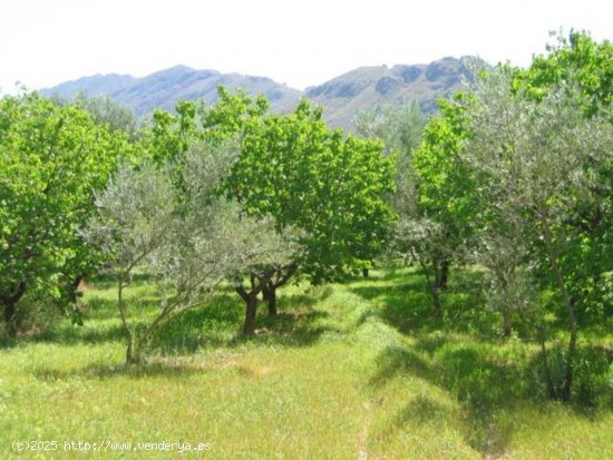  Solar en venta en Murcia (Murcia) 