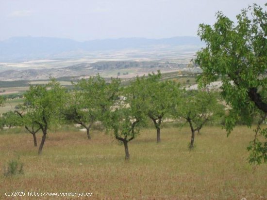 Solar en venta en Murcia (Murcia)