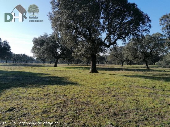 Solar en venta en Cáceres (Cáceres)