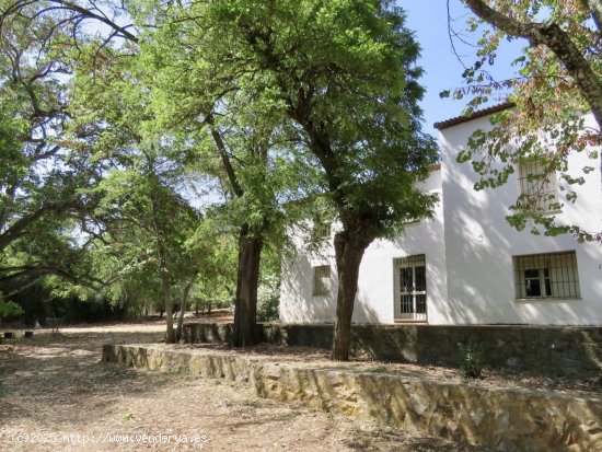  Casa en venta en Constantina (Sevilla) 