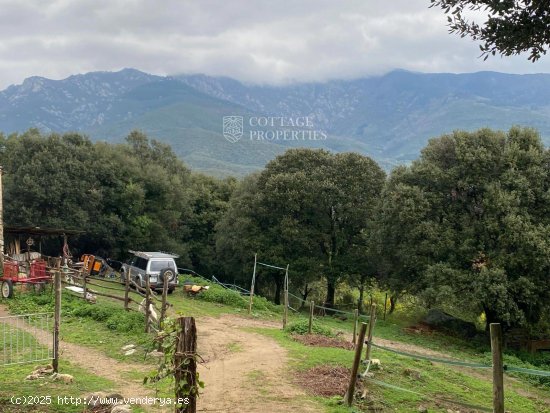 Casa en venta en Maçanet de Cabrenys (Girona)