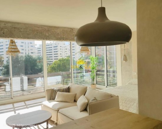  Apartamento en alquiler en Alicante (Alicante) 