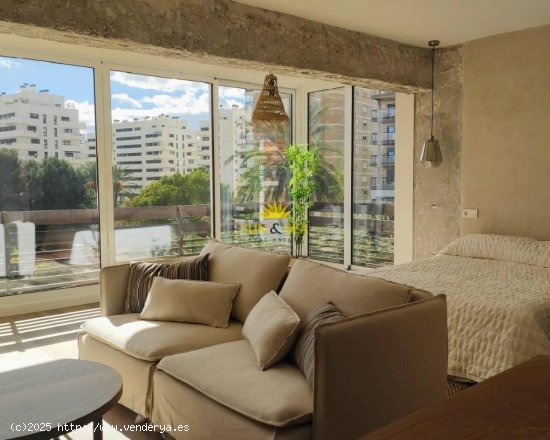 Apartamento en alquiler en Alicante (Alicante)