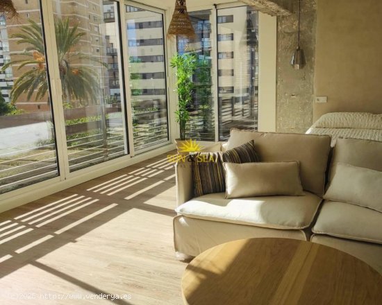 Apartamento en alquiler en Alicante (Alicante)