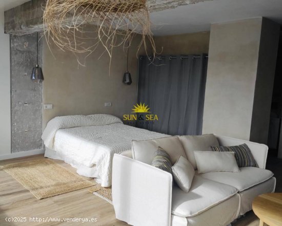 Apartamento en alquiler en Alicante (Alicante)