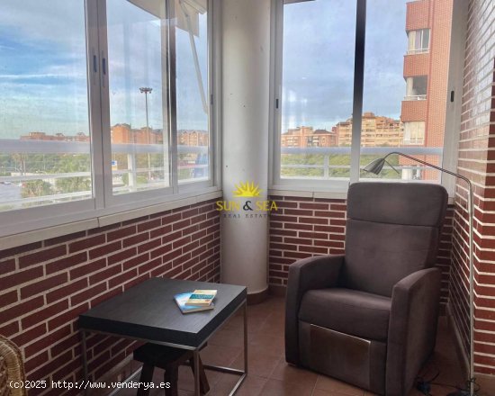 Apartamento en alquiler en Alicante (Alicante)