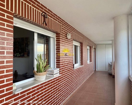 Apartamento en alquiler en Alicante (Alicante)