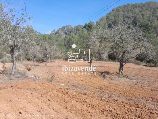  Parcela en venta en Sant Joan de Labritja (Baleares) 