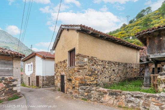 ¡Cuadra y terreno rústico en venta en Páramo, Teverga! - ASTURIAS