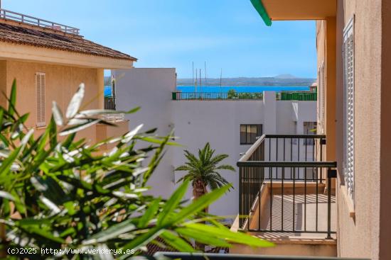 Moderno Piso en venta en puerto de Alcudia .. - BALEARES