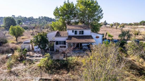 FINCA RÚSTICA EN SELVA , 16.000 M2 - BALEARES