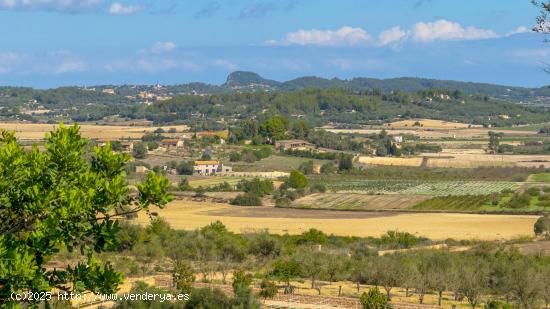 FINCA RUSTICA EN MONTUIRI - BALEARES