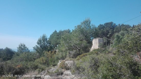 Suelo rústico en venta  en Tarragona - Tarragona