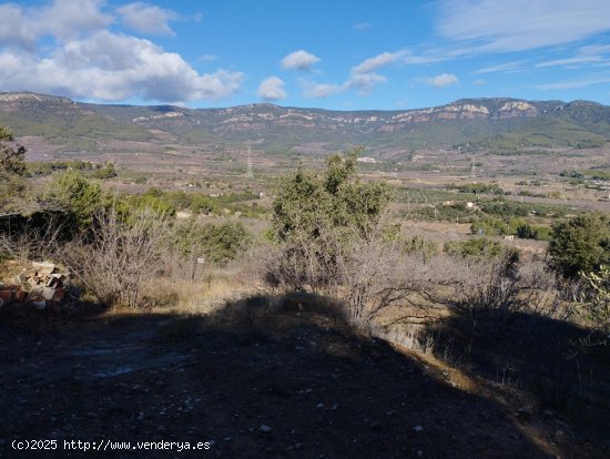 Suelo rústico en venta  en Aleixar, L - Tarragona