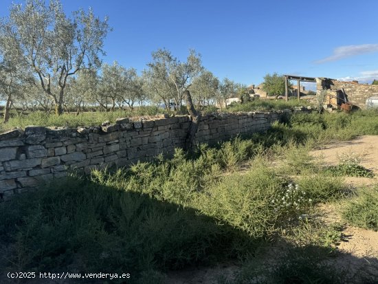 Suelo rústico en venta  en Concabella - Lleida