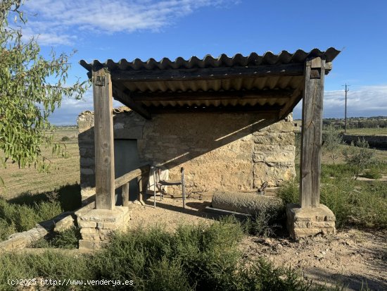 Suelo rústico en venta  en Concabella - Lleida