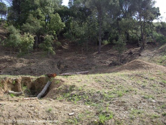 Suelo urbano en venta  en Calonge - Girona