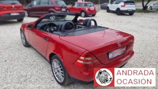 MERCEDES Clase SLK en venta en XÃ bia (Alicante) - XÃ bia