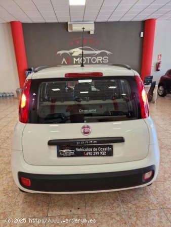 FIAT Panda en venta en Santa Cruz de Tenerife (S.C. Tenerife) - Santa Cruz de Tenerife