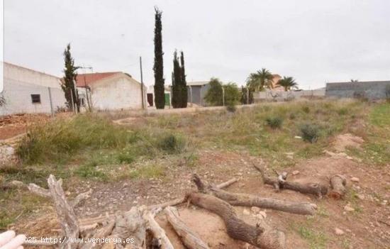 3 Terrenos en el Campillo de Arriba, Fuente Alamo. - MURCIA