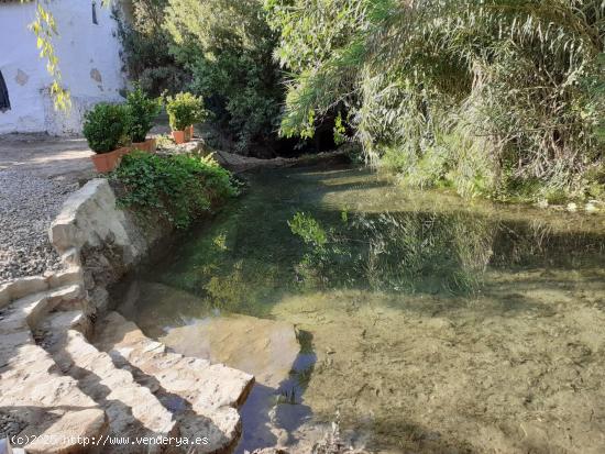 SE VENDE ESTUPENDO TERRENO  EN ZAHARA DE LA SIERRA - CADIZ