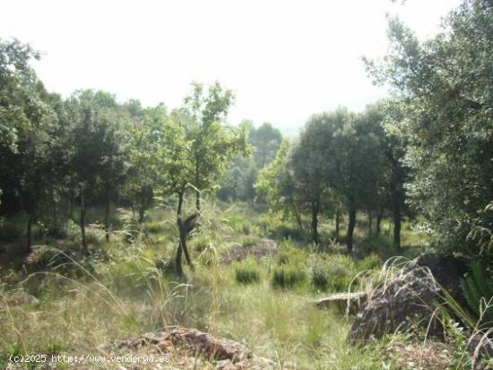  TERRENO EN VENTA Urbanización Pedritxes - Matadepera (Bcn). - BARCELONA 