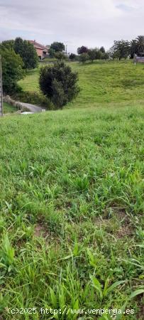 TERRENO RÚSTICO EN ALFOZ DE LLOREDO.- - CANTABRIA