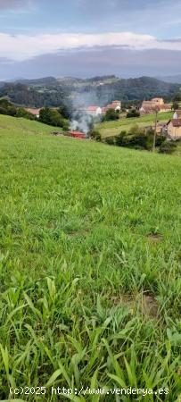 TERRENO RÚSTICO EN ALFOZ DE LLOREDO.- - CANTABRIA