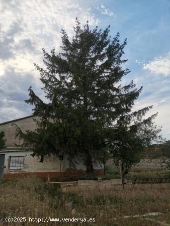 FINCA EN VENTA EN ONZONILLA - LEON