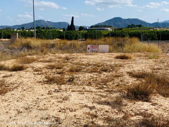 Venta Terreno urbanizable en Abarán - MURCIA