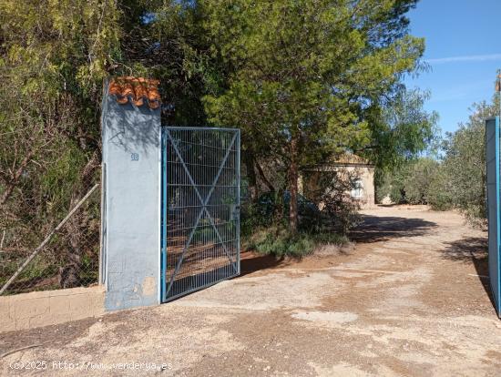  Casa rústica situada en Avileses - MURCIA 