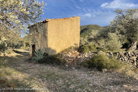 Finca rústica con casa de campo a reformar en Prat de Compte - TARRAGONA