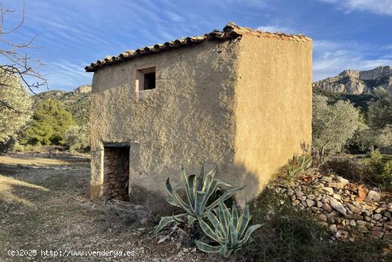 Finca rústica con casa de campo a reformar en Prat de Compte - TARRAGONA